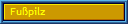 Fu�pilz
