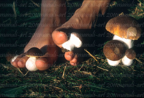 �Fu�-Pilz2